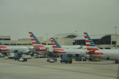 DSC_3173 (Large).JPG